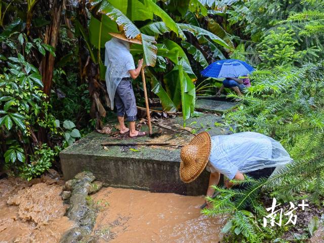 為保障陂嶺近三分之二村民用水，陂嶺村新老干部冒雨前往水源點解決集中供水問題。